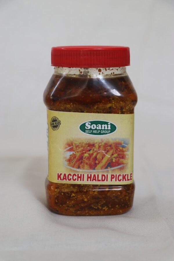 SOANI HOMEMANDE KACHI HALDI KA ACHAR