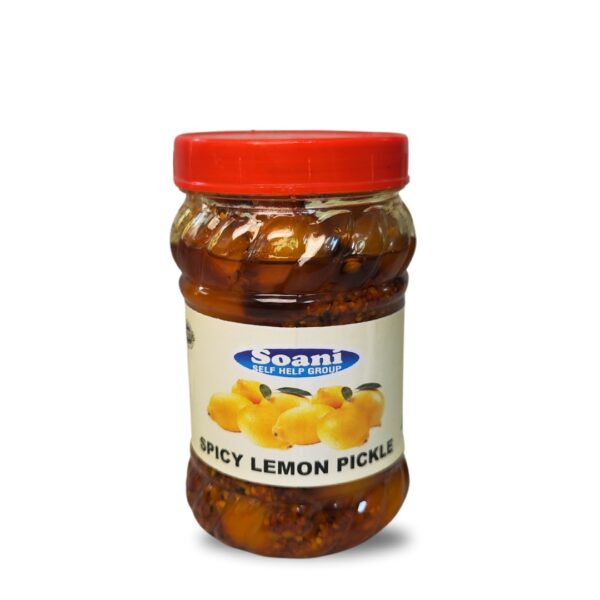 Soani Homemade Spicy Lemon Pickle