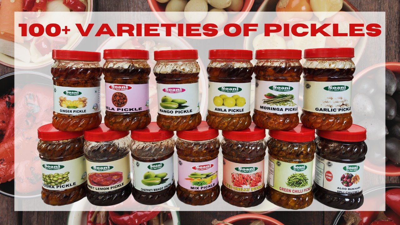 Soani Food gallery photograph 2